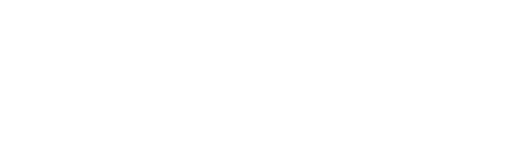 TyrePlus